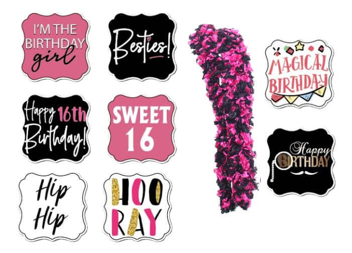 Sweet 16 party props with pink and black boa, perfect for celebrating a girl's birthday. Includes fun themed signs.