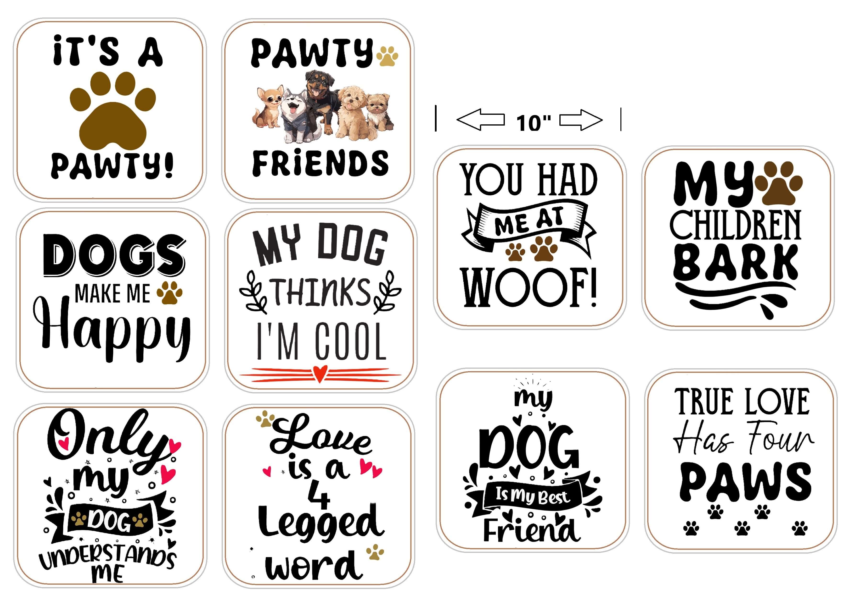 Colorful dog party photo booth props featuring fun phrases, perfect for a pet-themed celebration.