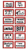 Cheesey Party Set- 6 piece Photo Booth Sign Props