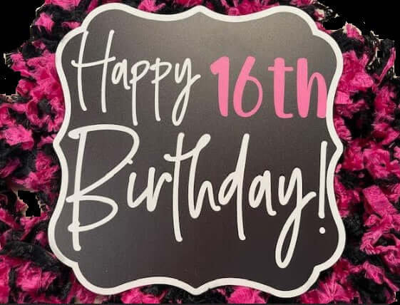 Happy 16th Birthday sign with pink and black boa, perfect for Sweet Sixteen celebrations.