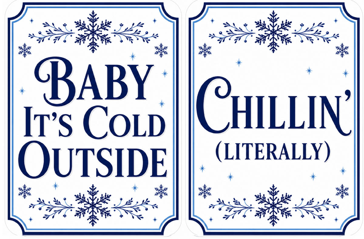 Holiday Corporate - Photo Booth Sign Props. Set of 5 - Double Sided signs with fun winter phrases.