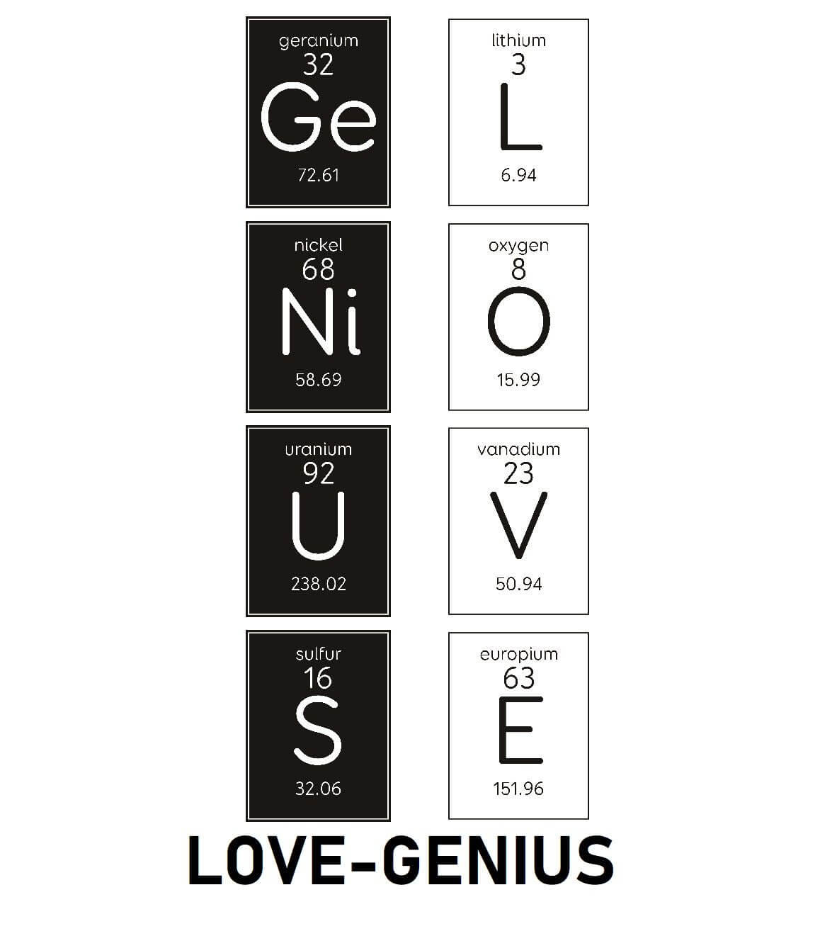 "LOVE and GENIUS Wedding "Prop Set - Eventprinters.com